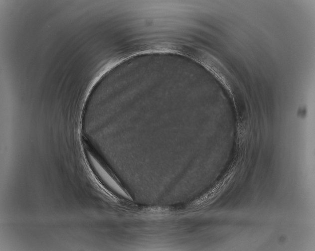 X0000096650797200803041148