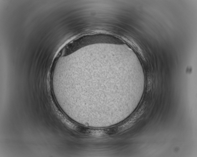 X0000096650798200803041148