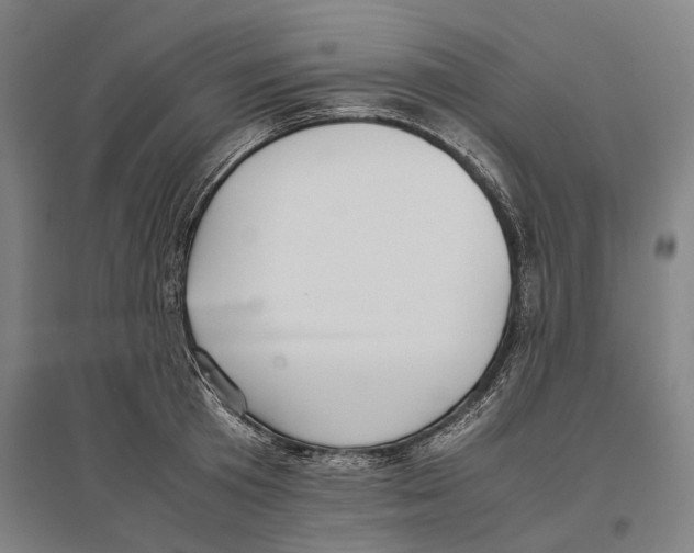 X0000096650801200803041148