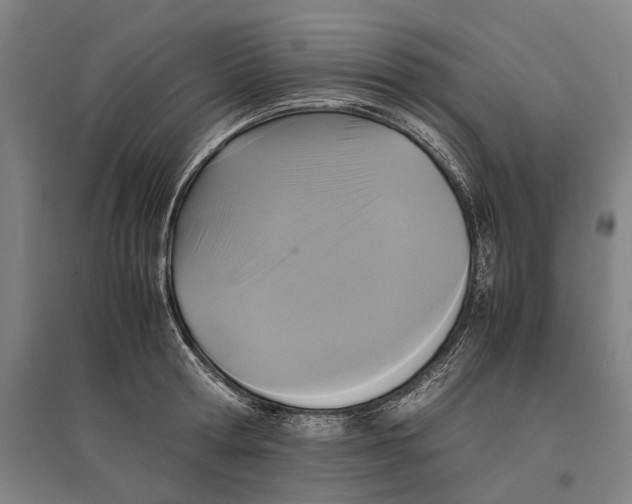 X0000096650802200803041148