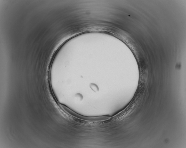 X0000096650803200803041148