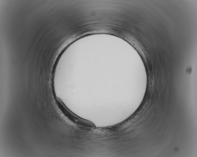 X0000096650805200803041148