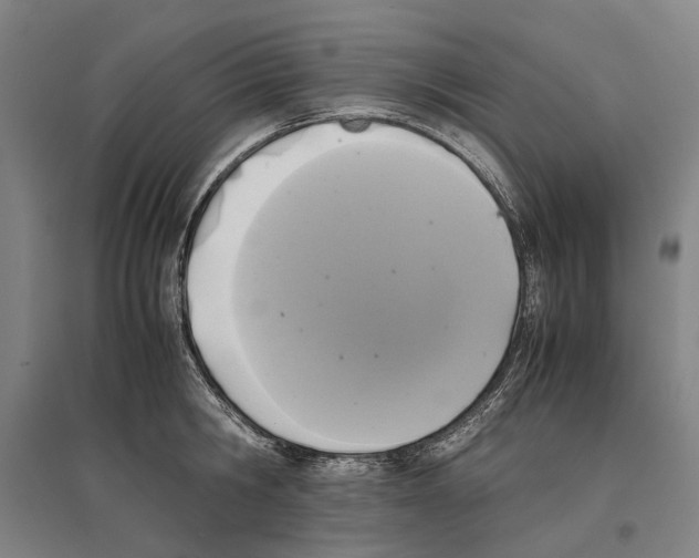 X0000096650806200803041148