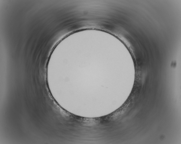 X0000096650807200803041148