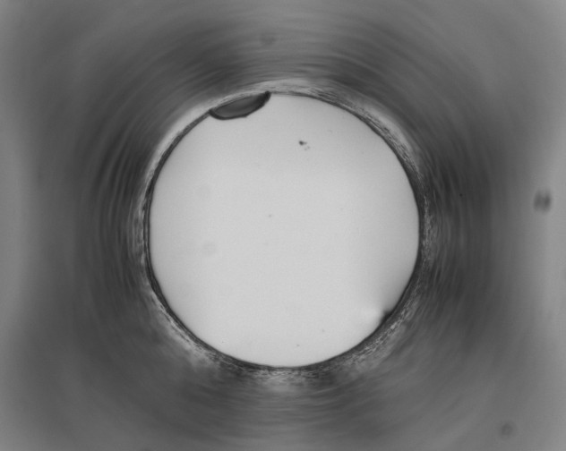 X0000096650808200803041148