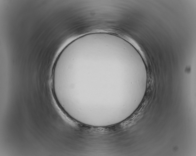 X0000096650811200803041148