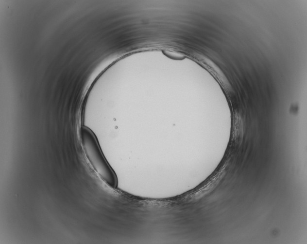 X0000096650812200803041148