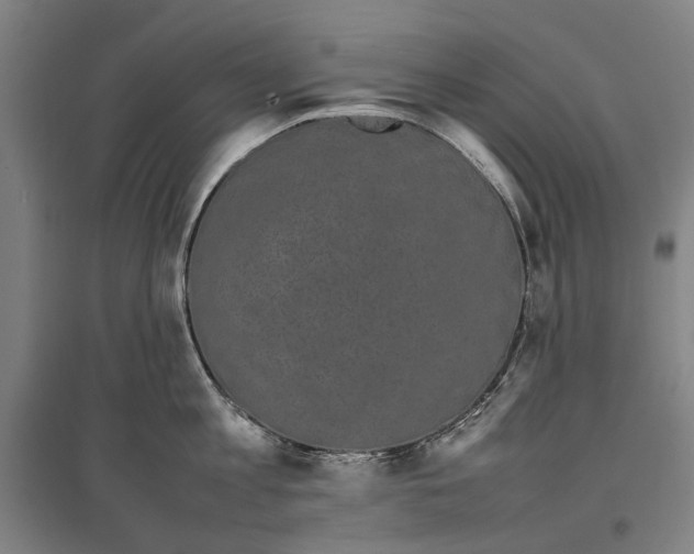 X0000096650813200803041148