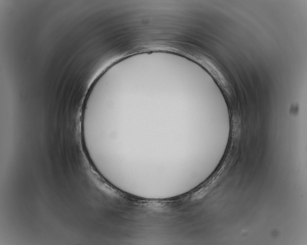 X0000096650814200803041148