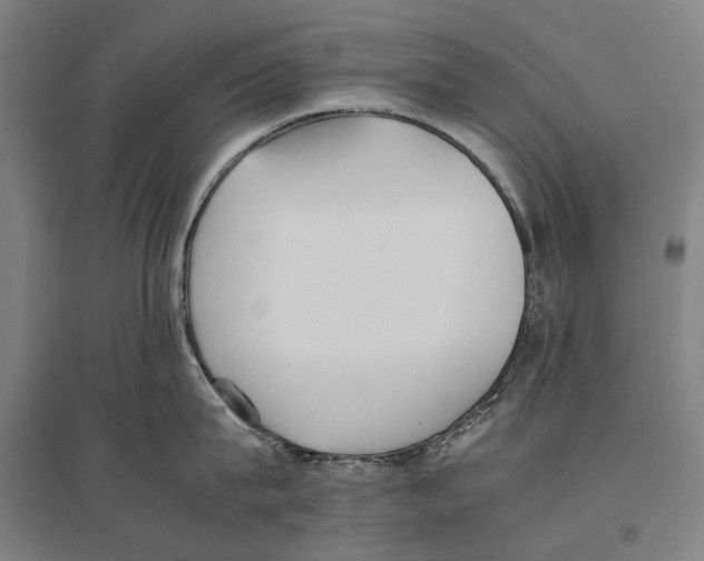 X0000096650815200803041148