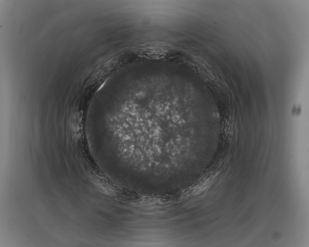 X0000096650818200803041147