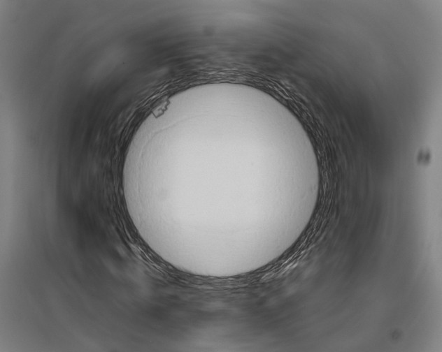 X0000096650820200803041147