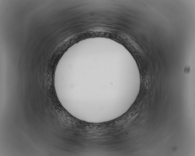 X0000096650821200803041147