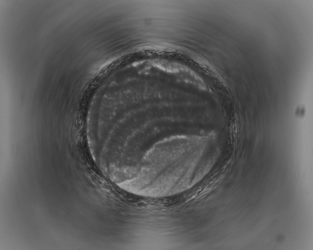 X0000096650822200803041147