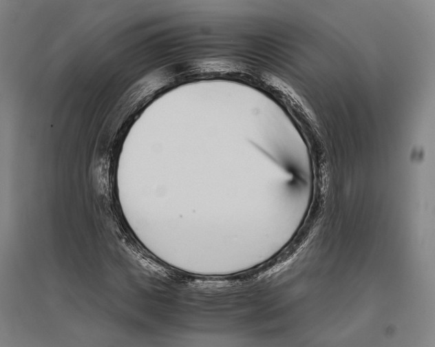 X0000096650825200803041147