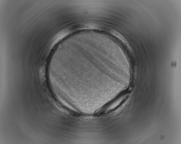 X0000096650826200803041147