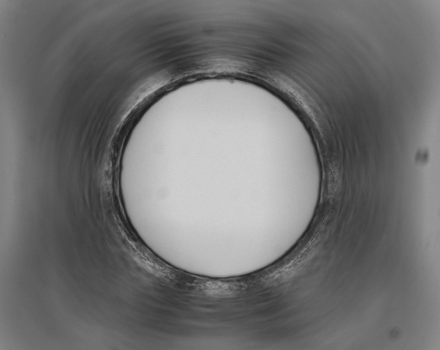 X0000096650827200803041147