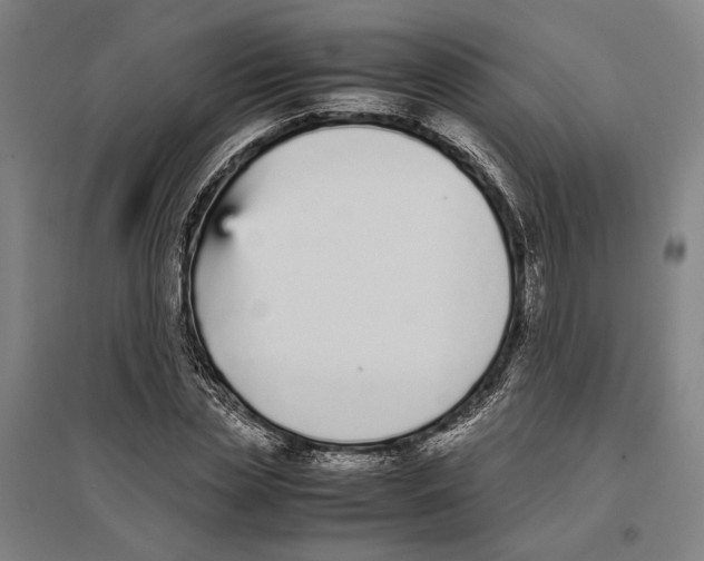 X0000096650829200803041147