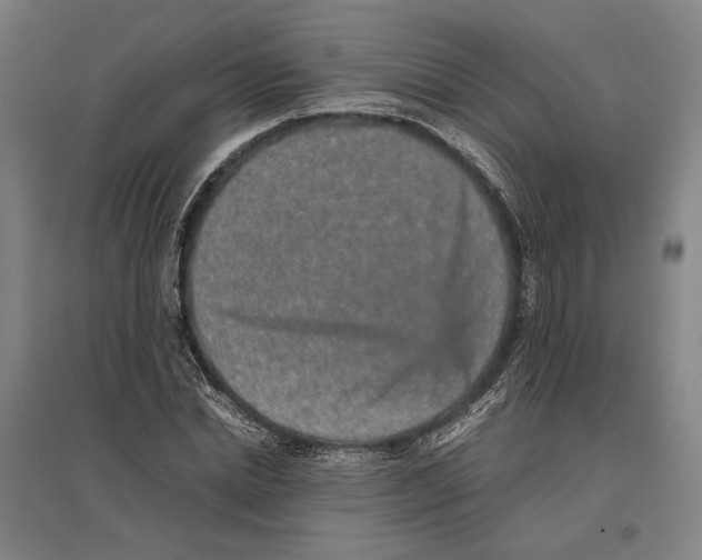 X0000096650830200803041147