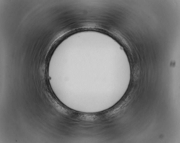 X0000096650831200803041147