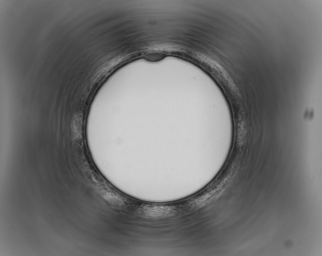 X0000096650833200803041147