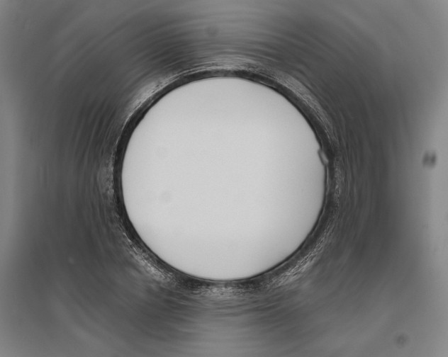 X0000096650834200803041147