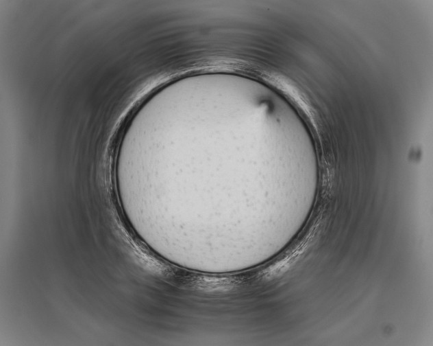 X0000096650835200803041147