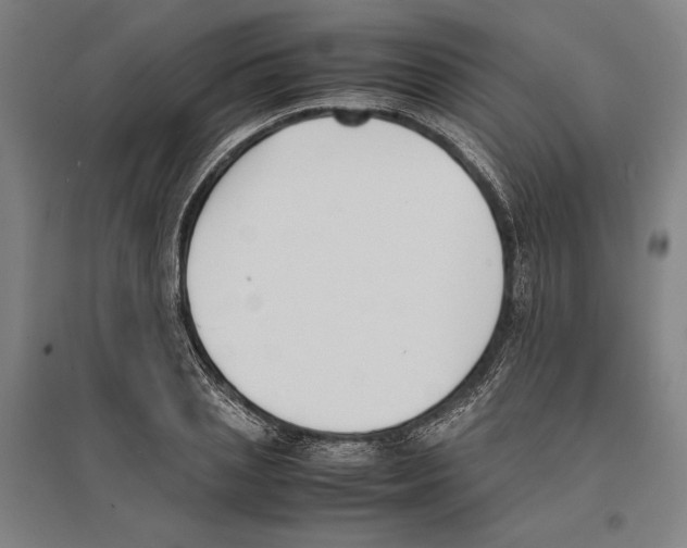 X0000096650837200803041147