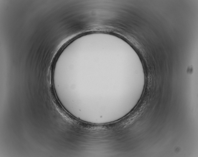 X0000096650838200803041147