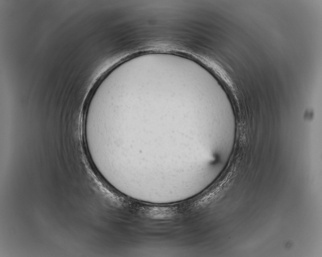 X0000096650839200803041147