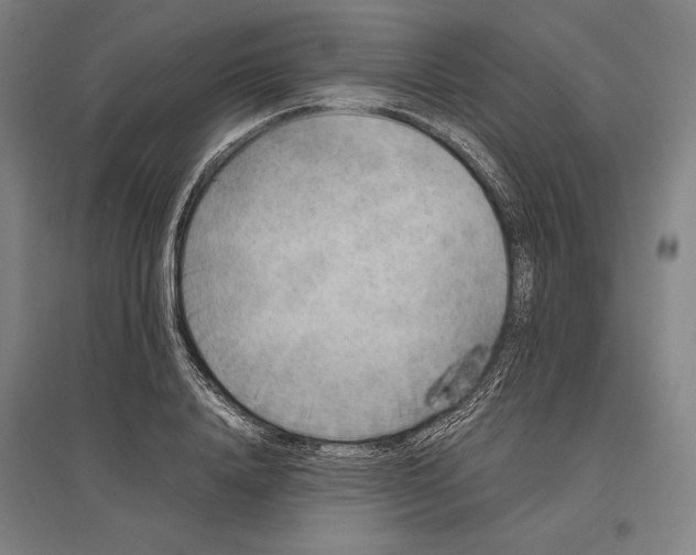 X0000096650840200803041147