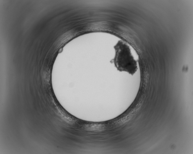 X0000096650841200803041147