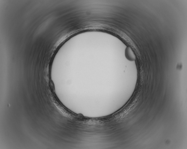 X0000096650842200803041147