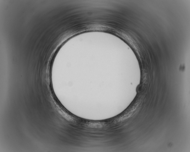 X0000096650843200803041147