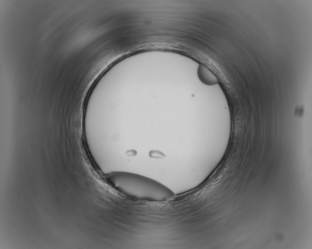 X0000096650844200803041147