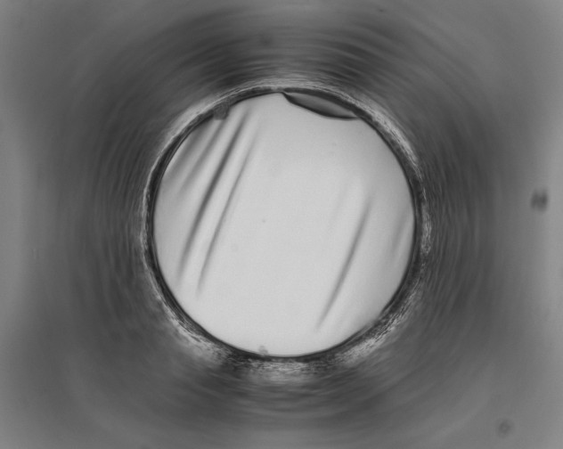 X0000096650845200803041147