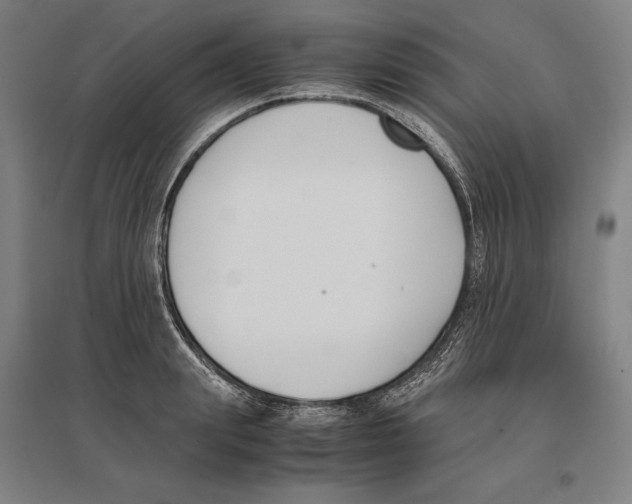 X0000096650847200803041147