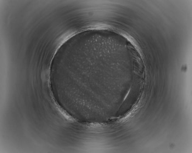 X0000096650850200803041147