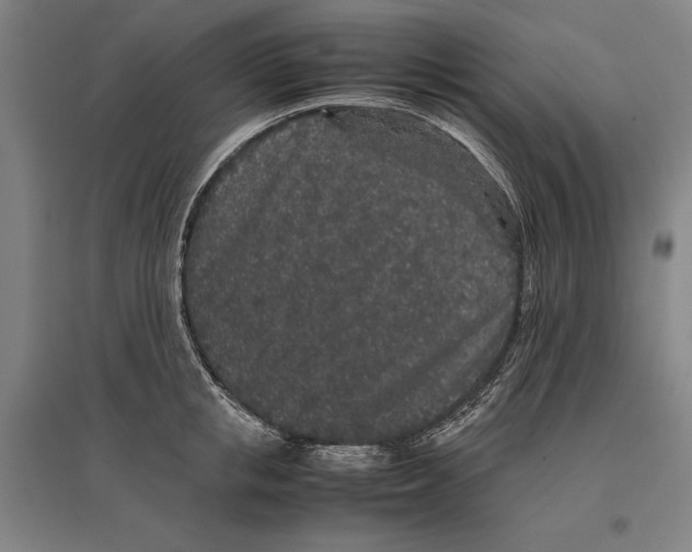 X0000096650853200803041147