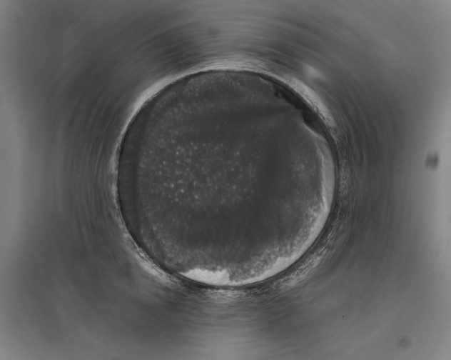 X0000096650854200803041147