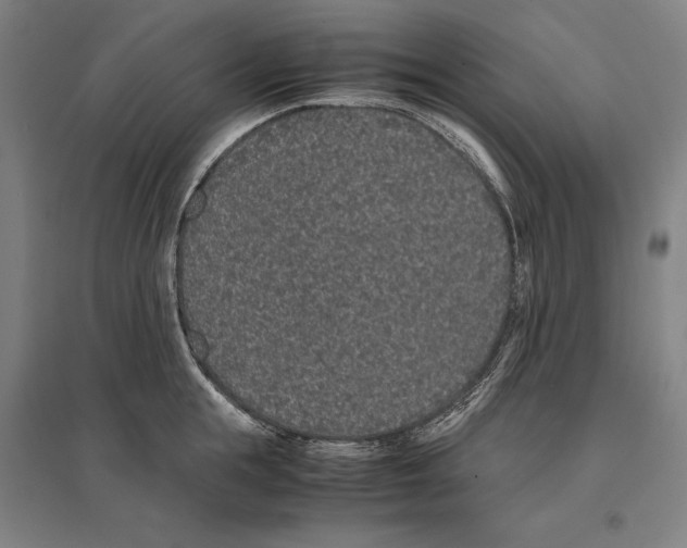 X0000096650855200803041147