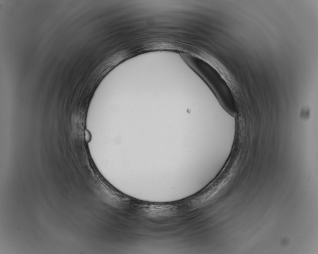 X0000096650857200803041148