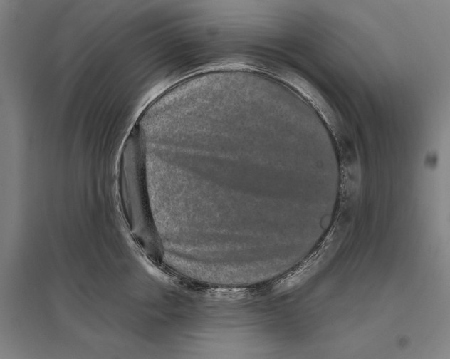 X0000096650858200803041148