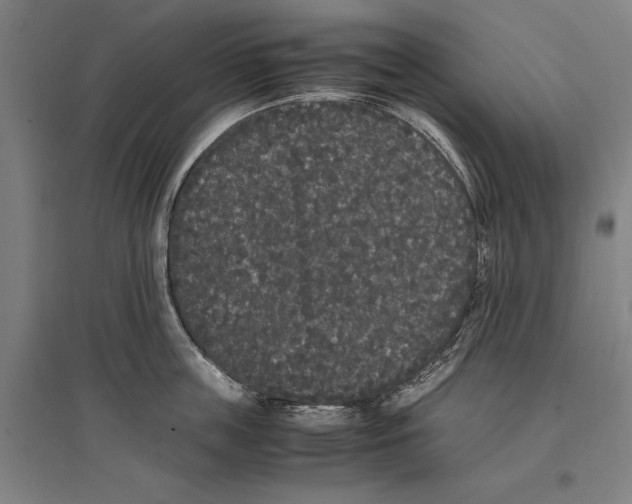 X0000096650859200803041148