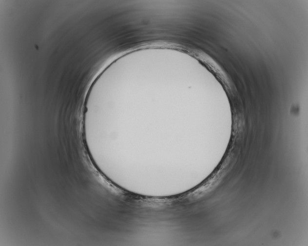 X0000096650860200803041148