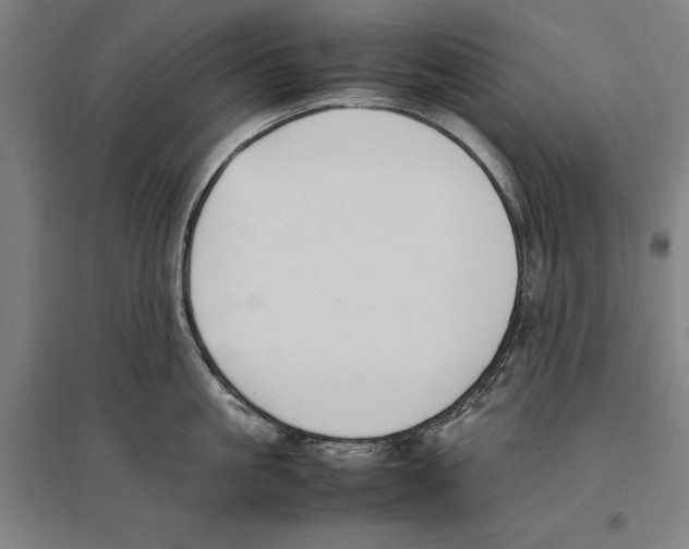 X0000096650861200803041148