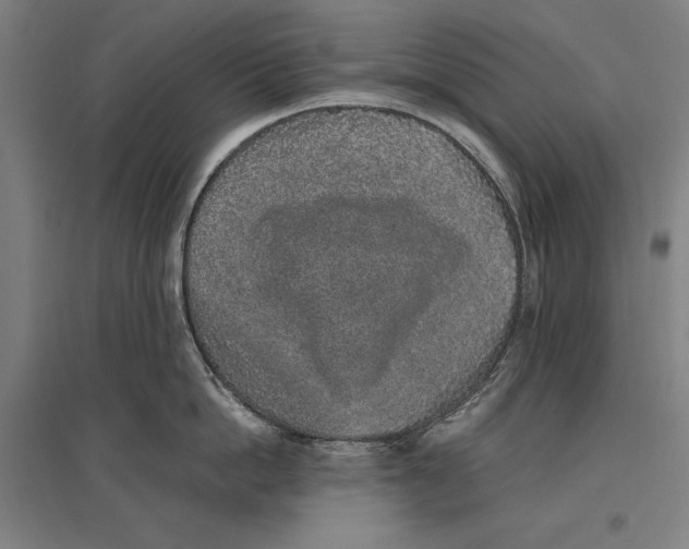 X0000096650862200803041148