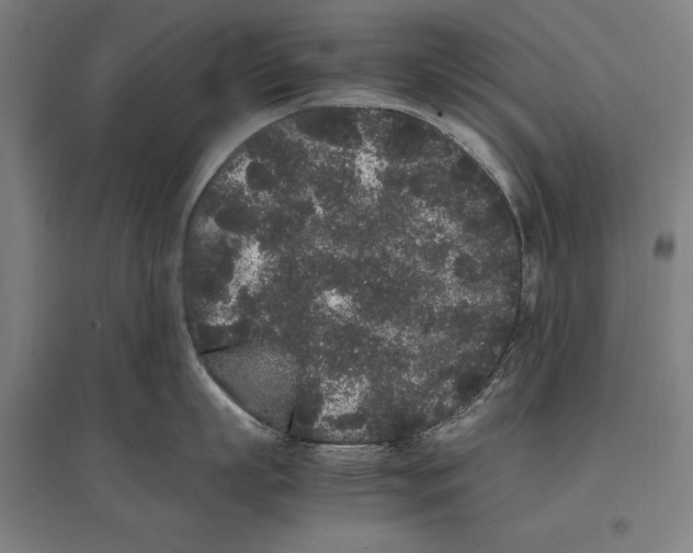 X0000096650863200803041148