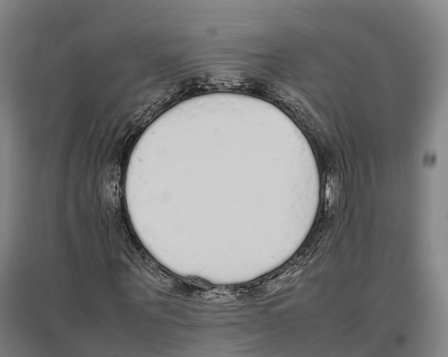 X0000096650867200803041147