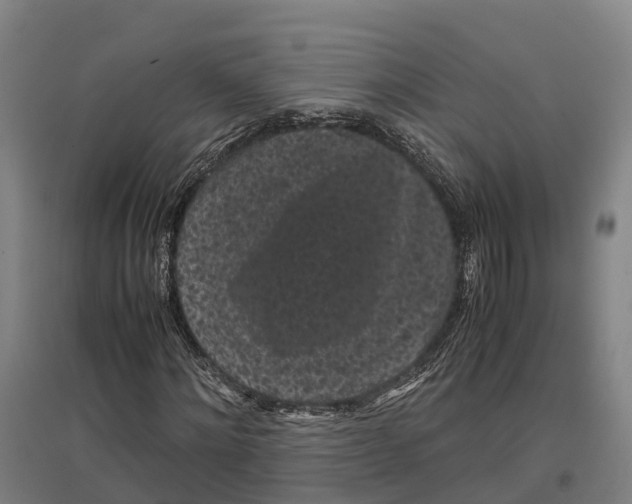 X0000096650868200803041147